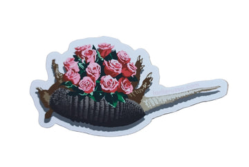 Armadillo Spray by Lori Larusso
