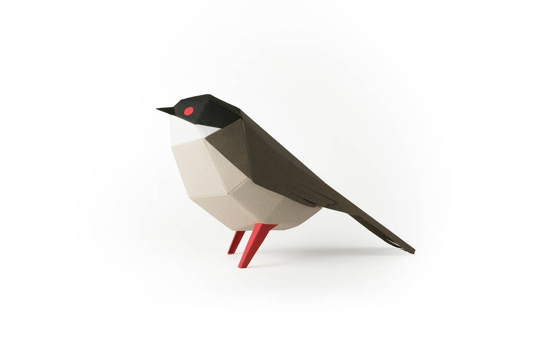 Sardinian Warbler Bird 3D Paper Figure Kit