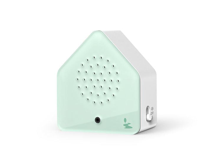 Satellite Box: Forest Brook