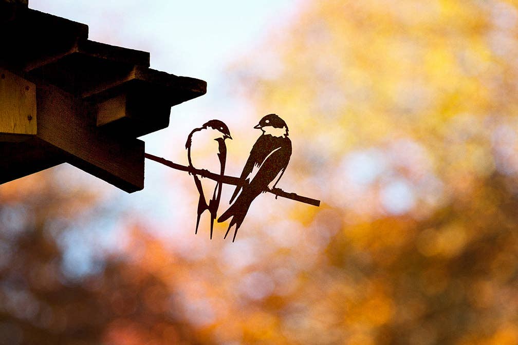 Pair of Swallows Metal Garden Art