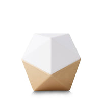 Vail Passive Ceramic Diffuser