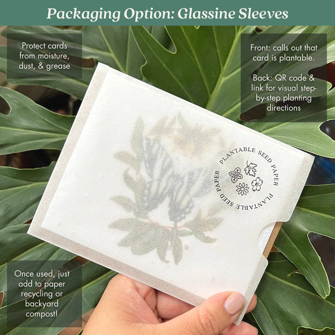 Zebra Swallowtail Butterfly & Pawpaw Plantable Herb Card