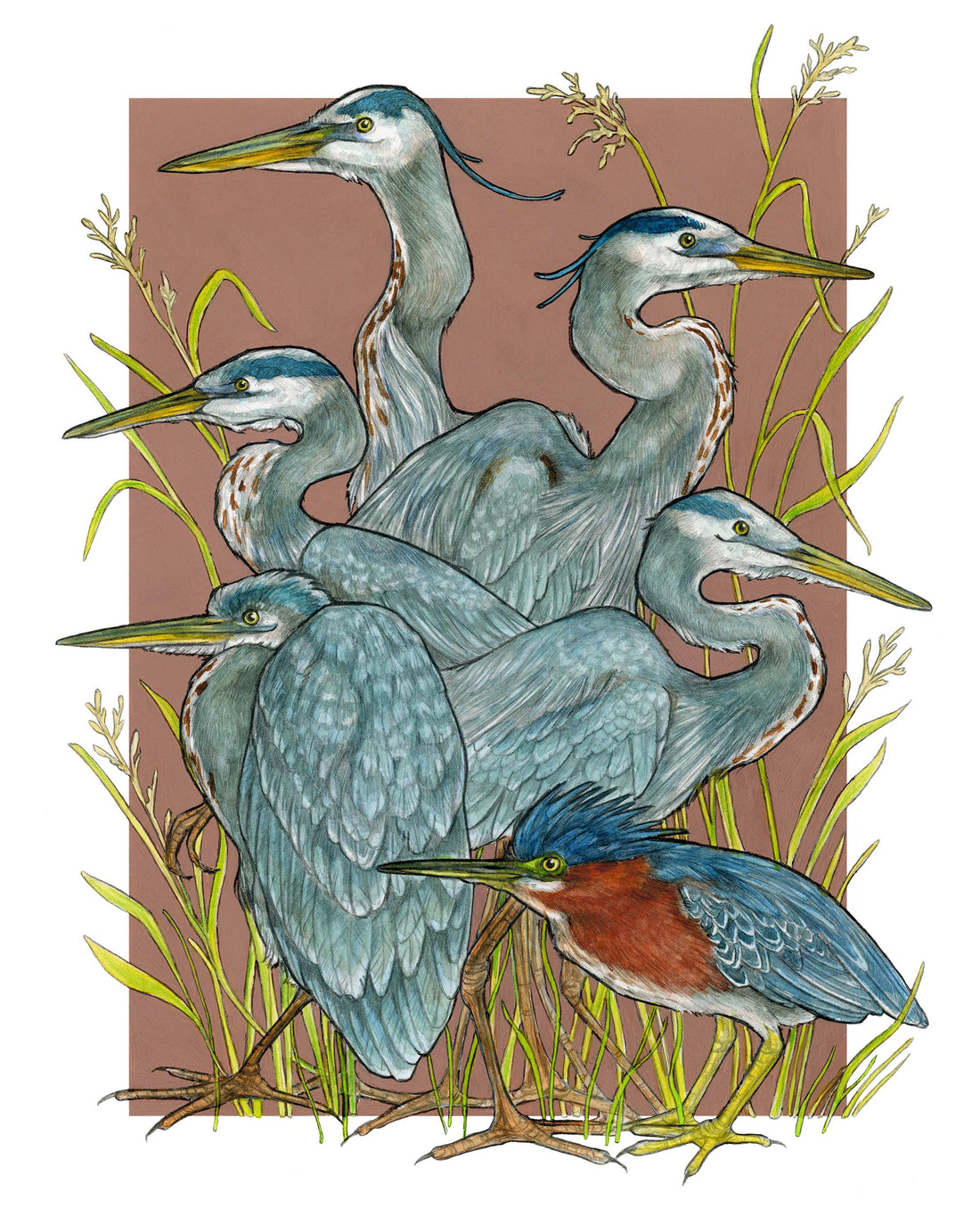 A Siege of Herons - Archival Print