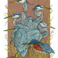 A Siege of Herons - Archival Print