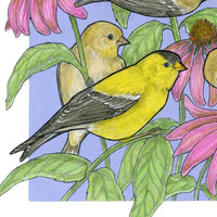 A Charm of Finches - Archival Print