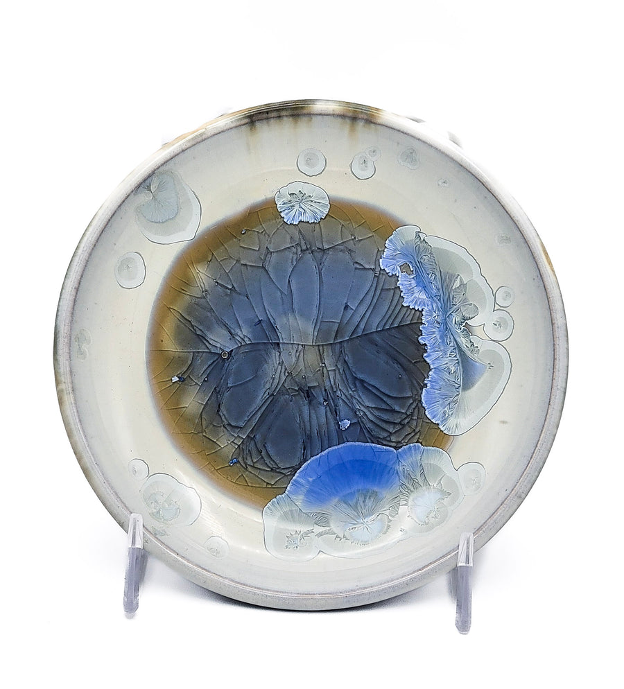 White and Blue Plate