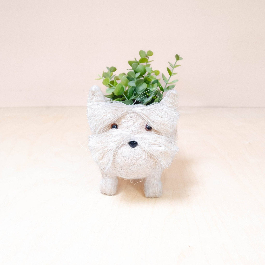 Baby Westie Planter