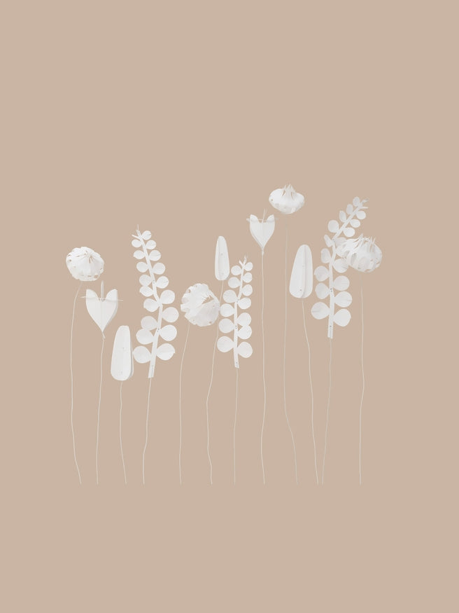 White Field Flowers