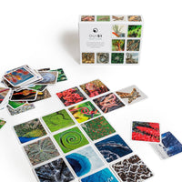 OuiSi Nature: Games of Visual Connection