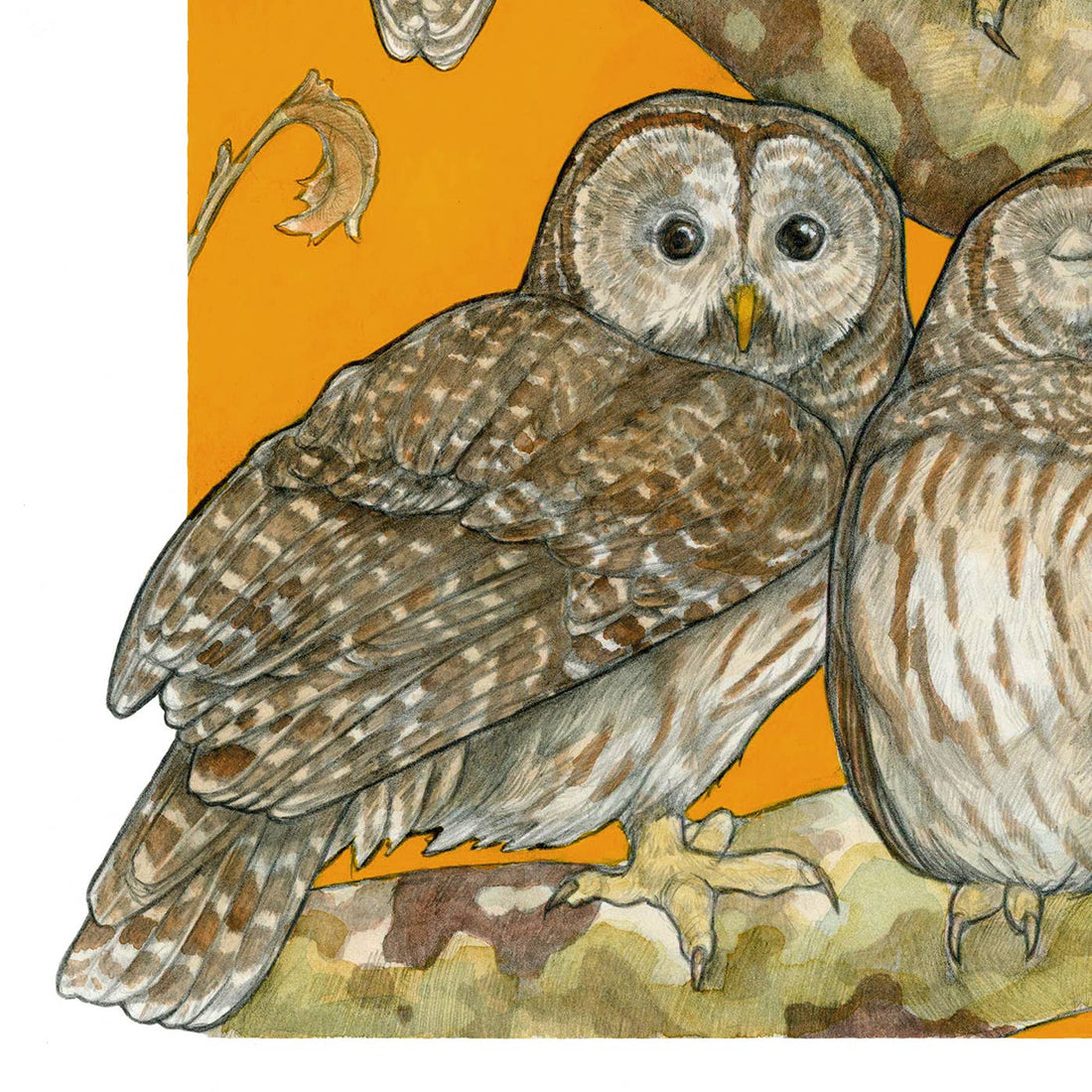 A Parliament of Owls - Archival Print
