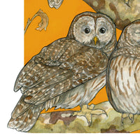 A Parliament of Owls - Archival Print