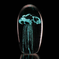 Glass Aqua and Black Jellyfish (Glow in the Dark)
