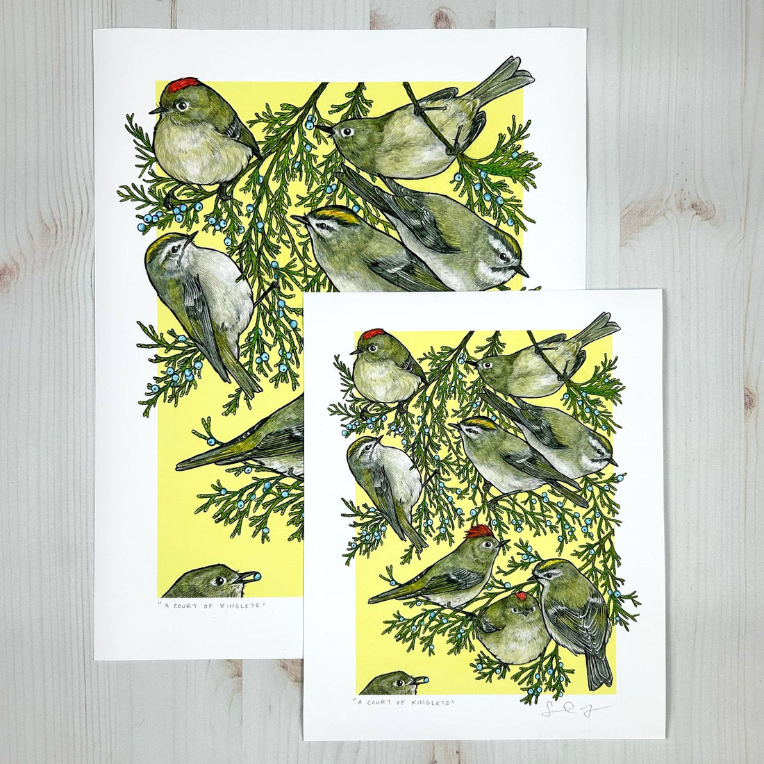 A Court of Kinglets - Archival Print