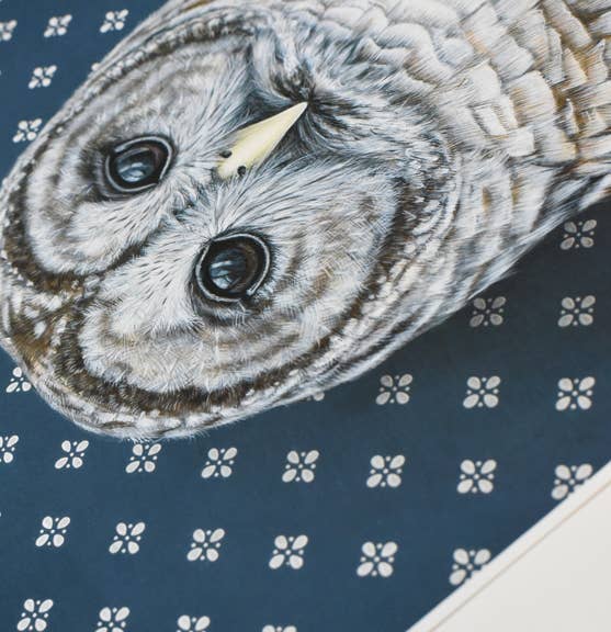 Barred Owl Dark Blue Art Print