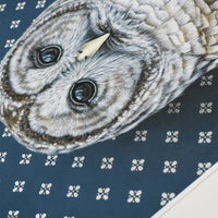 Barred Owl Dark Blue Art Print