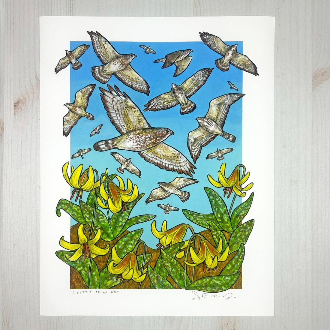 A Kettle of Hawks - Archival Print
