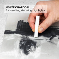 Zieler® 24 Piece Artists Charcoal Drawing Set