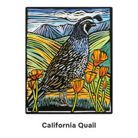 Molly Hashimoto: Birds Memory Game