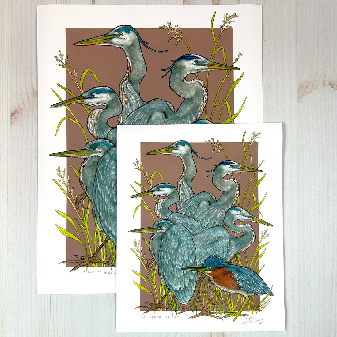 A Siege of Herons - Archival Print
