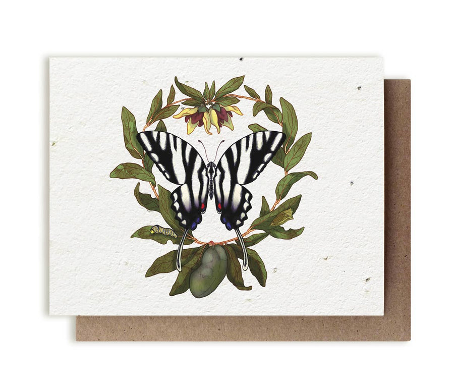Zebra Swallowtail Butterfly & Pawpaw Plantable Herb Card