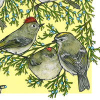 A Court of Kinglets - Archival Print