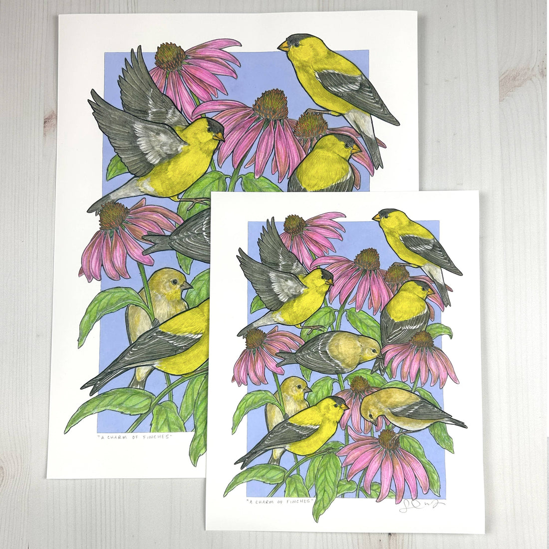 A Charm of Finches - Archival Print