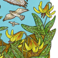 A Kettle of Hawks - Archival Print