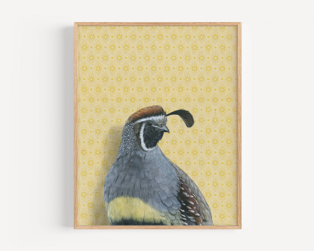 Gambel's Quail Fine Art Print