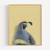 Gambel's Quail Fine Art Print