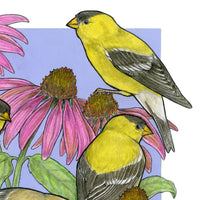 A Charm of Finches - Archival Print