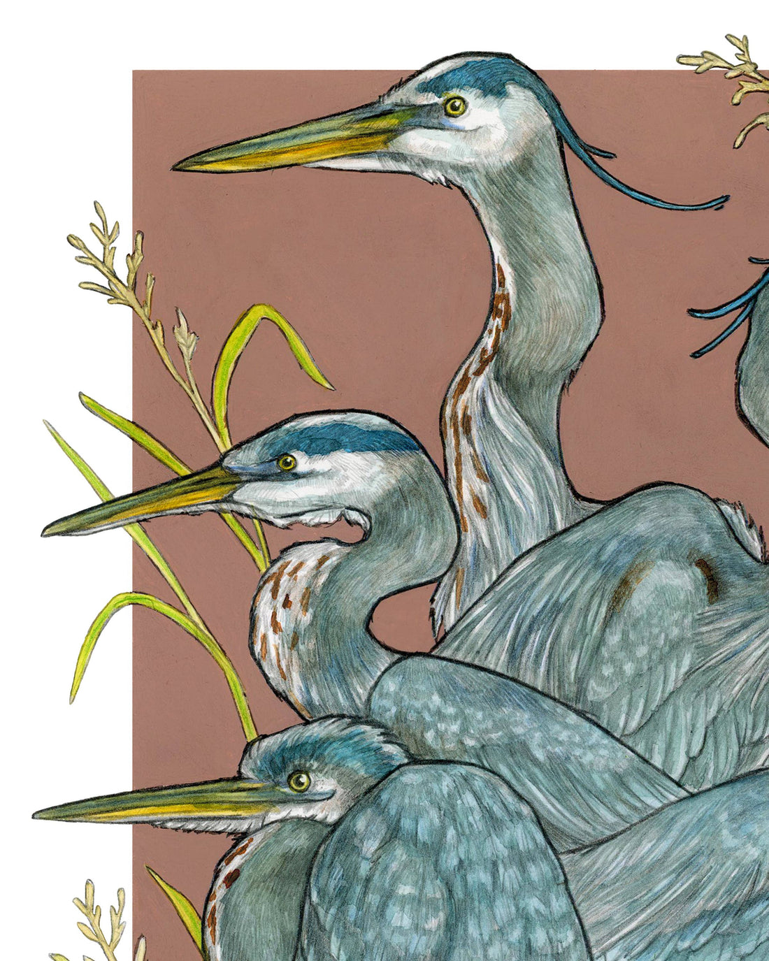 A Siege of Herons - Archival Print