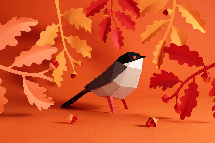 Sardinian Warbler Bird 3D Paper Figure Kit