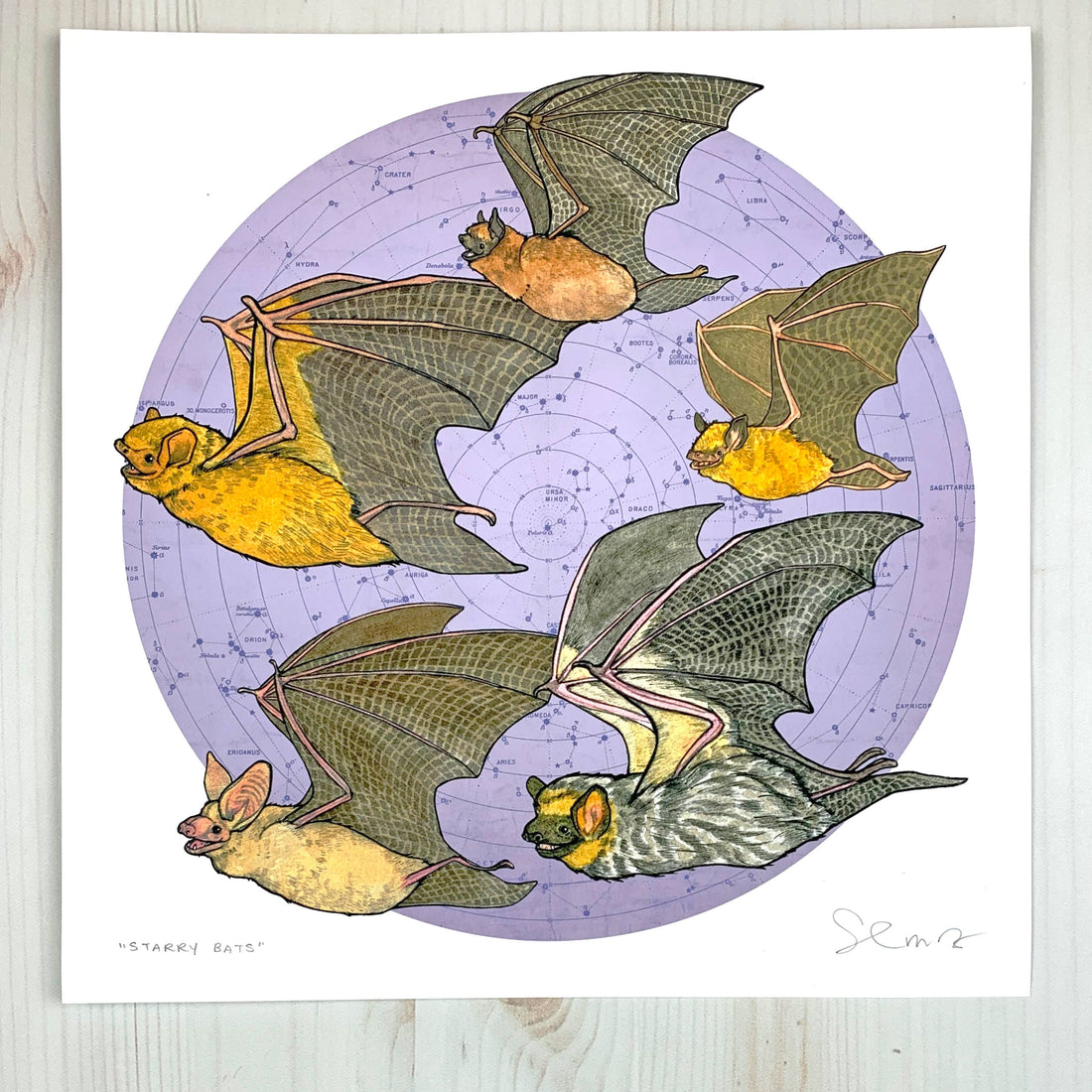 Starry Bats - North American Native Bats with Cream Background