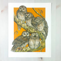 A Parliament of Owls - Archival Print