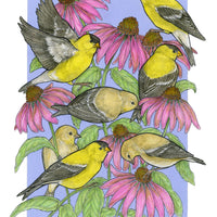A Charm of Finches - Archival Print