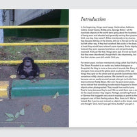 Sad Stuff on the Street By Sloane Crosley and Greg Larson
