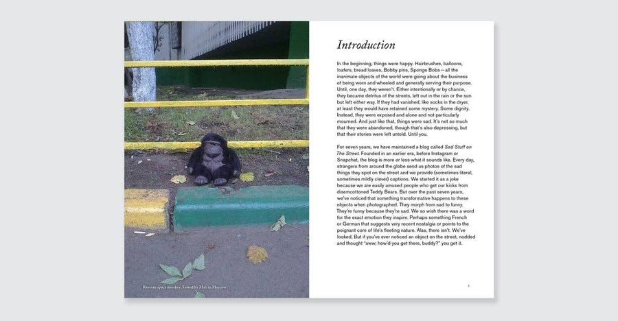 Sad Stuff on the Street By Sloane Crosley and Greg Larson
