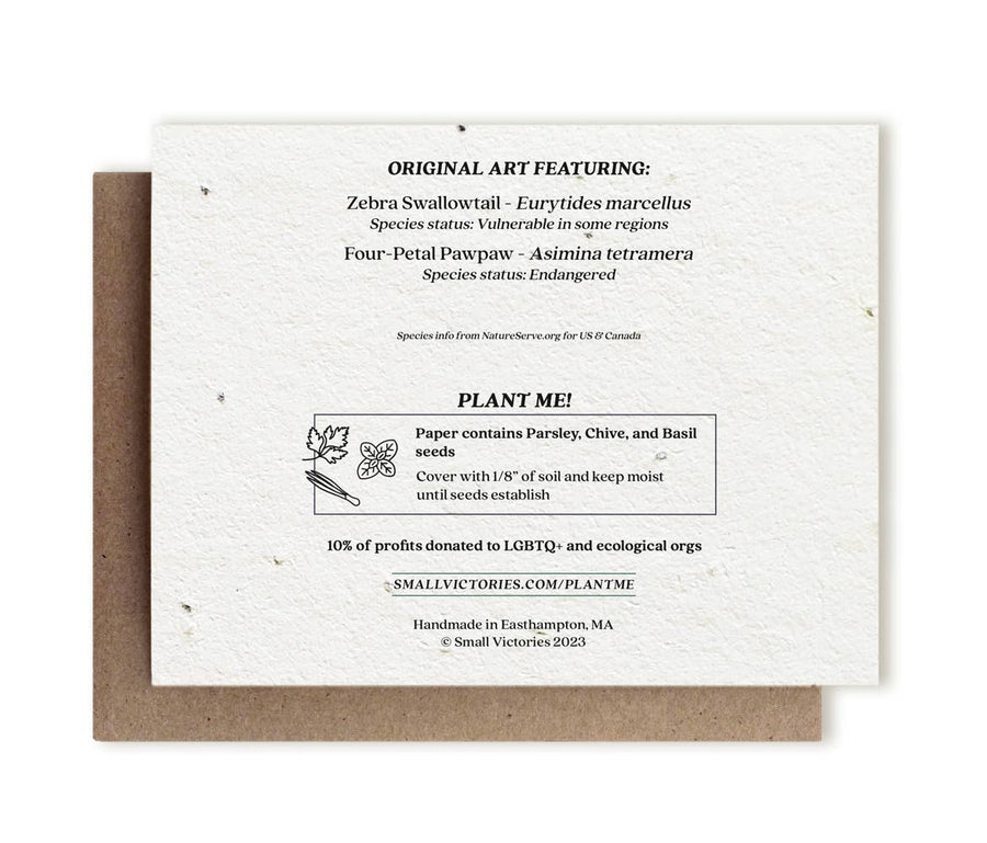 Zebra Swallowtail Butterfly & Pawpaw Plantable Herb Card