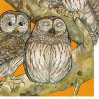 A Parliament of Owls - Archival Print