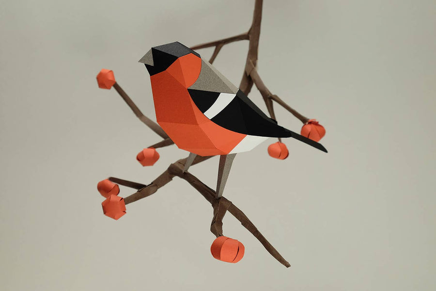 Bullfinch Bird 3D Paper Figure Kit