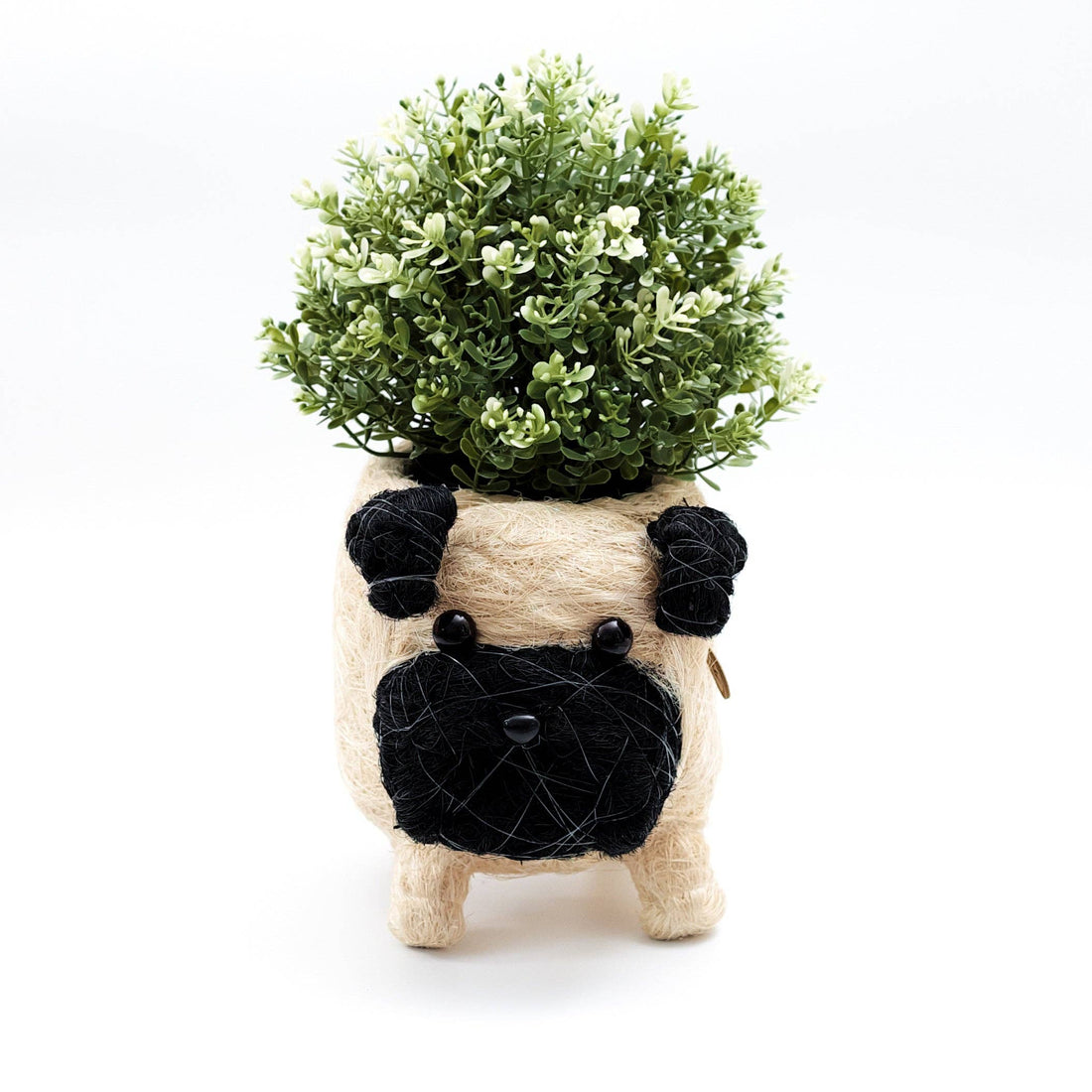 Baby Pug Planter