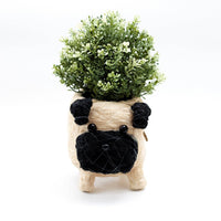 Baby Pug Planter