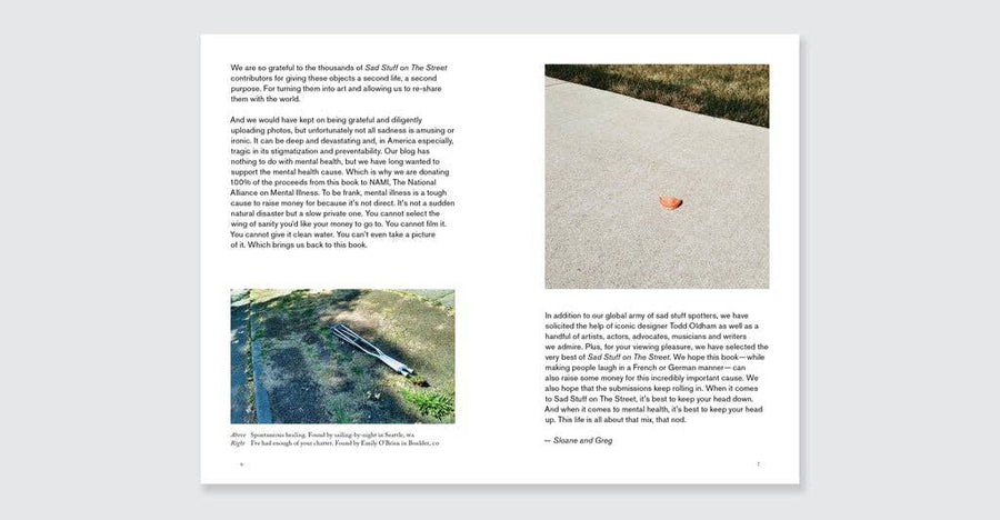Sad Stuff on the Street By Sloane Crosley and Greg Larson