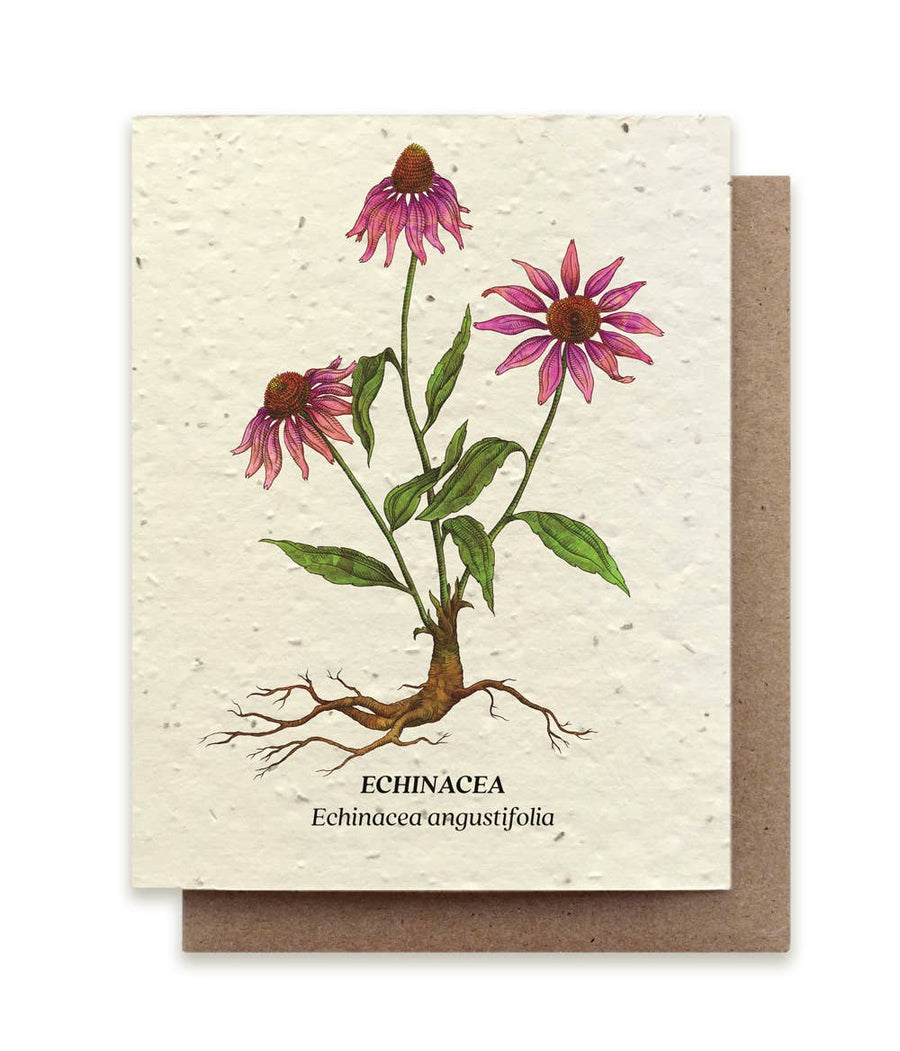 Echinacea Plantable Wildflower Seed Card