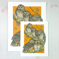 A Parliament of Owls - Archival Print