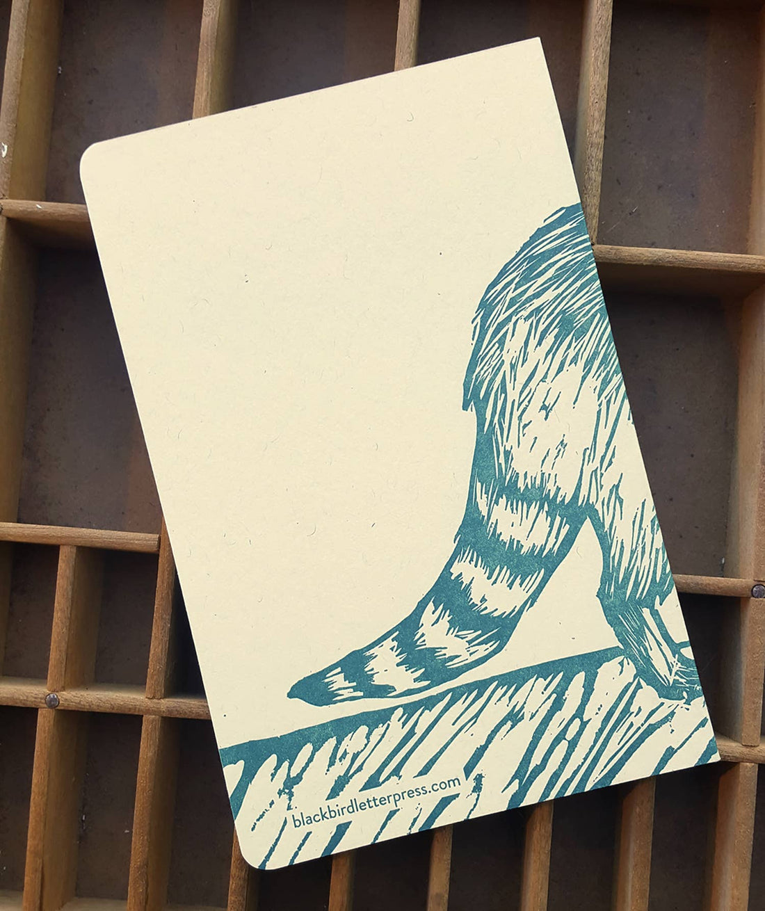 Raccoon Letterpress Notebook