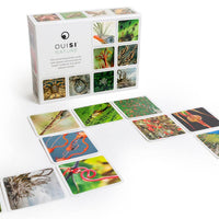 OuiSi Nature: Games of Visual Connection