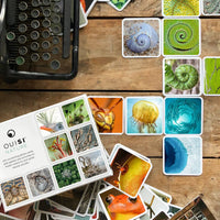 OuiSi Nature: Games of Visual Connection