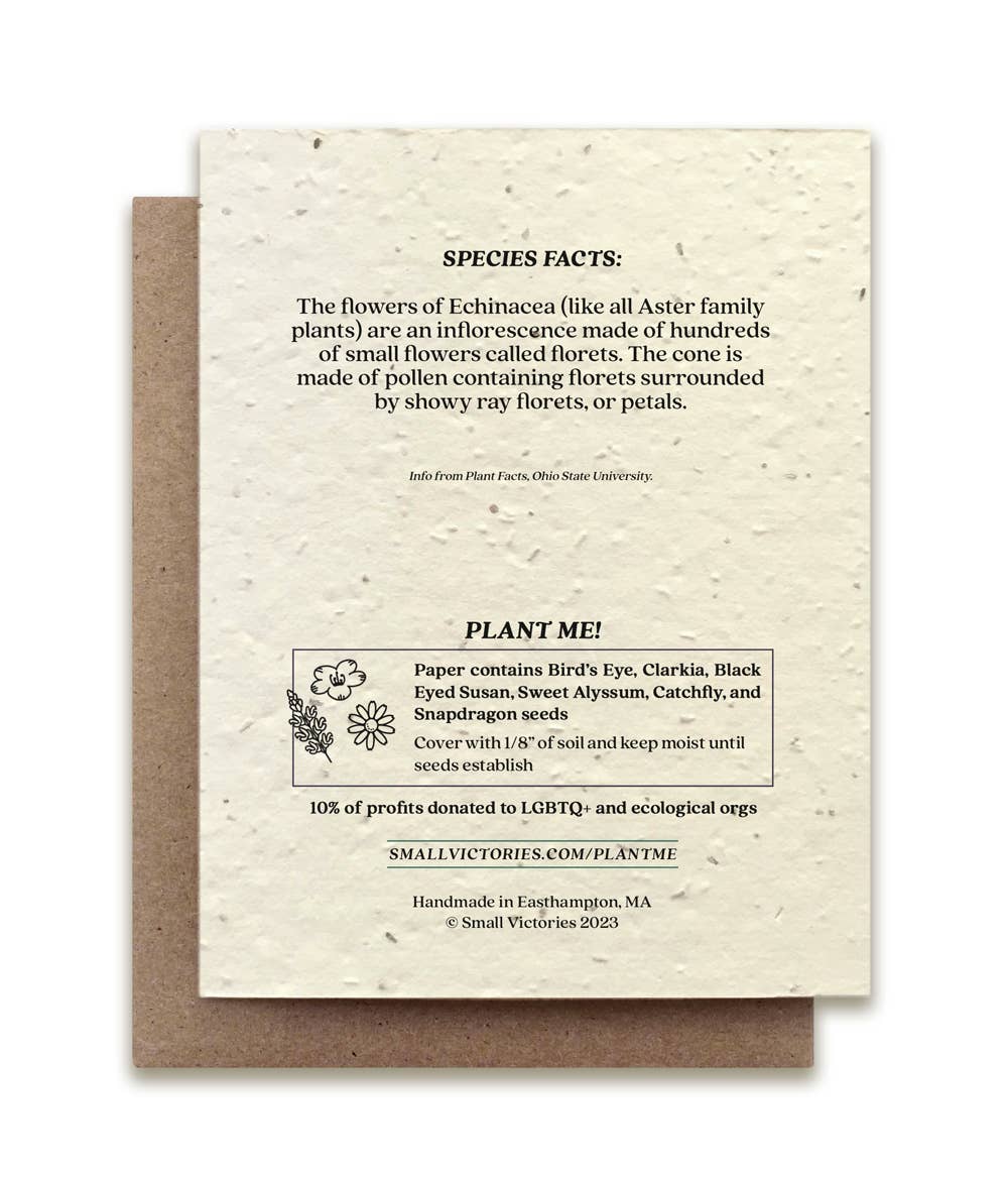 Echinacea Plantable Wildflower Seed Card