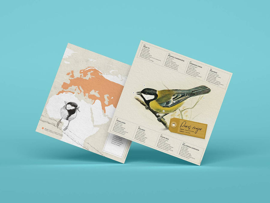 Great Tit  Bird 3D Paper Figure Kit